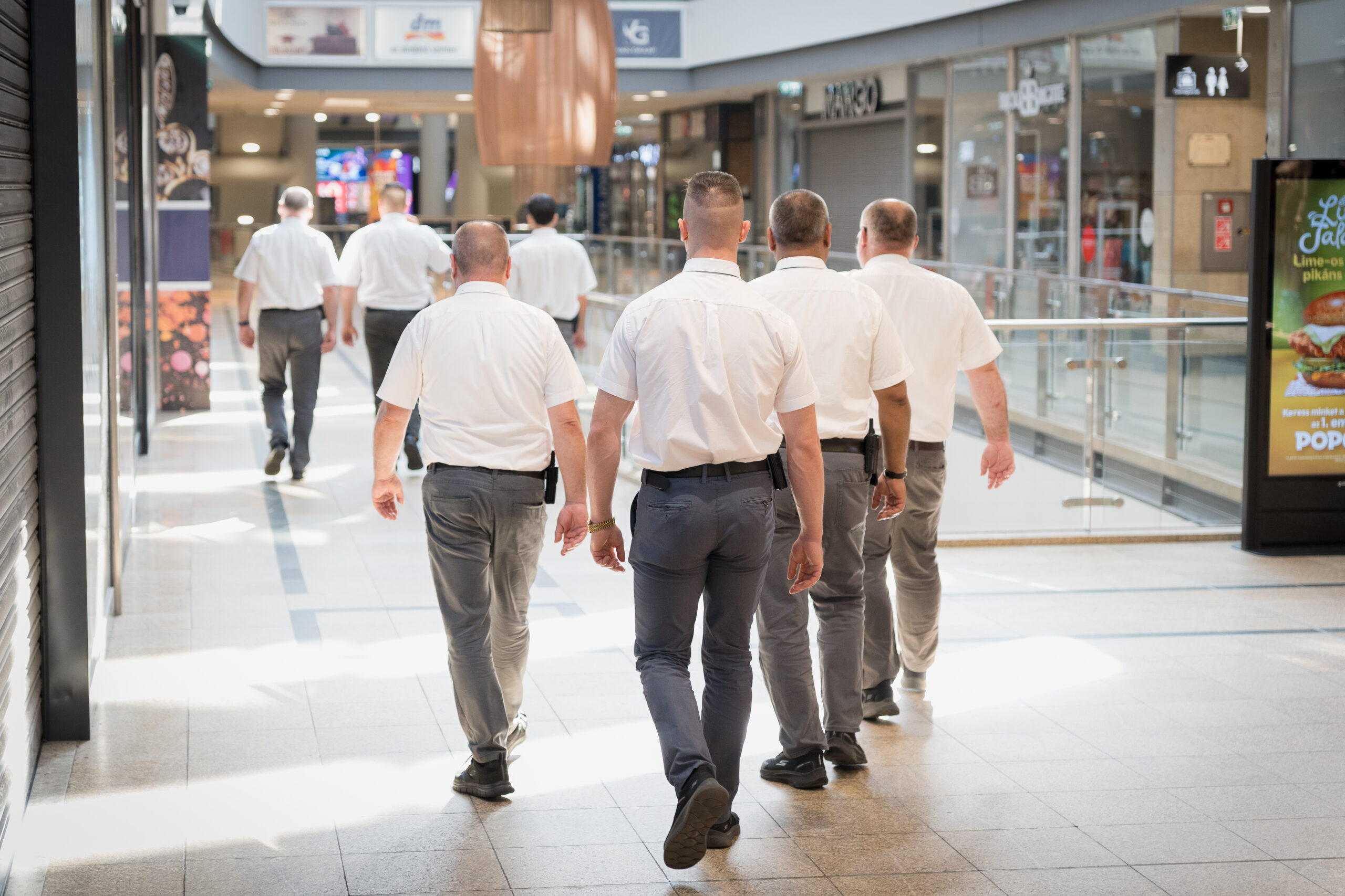 Mall Secure Kft. szakmai bemutató kép